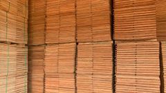 Eucalyptus Core Veneer, Rubber Core Veneer, Birch Core Veneer, Hardwood Core Veneer - Image 1