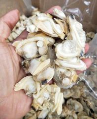 Fresh Short Necked Meat Frozen Baby Clams Shell On Style FROZEN Packaging Bag Brand Name MTH Address FUJIAN Ingredients - Image 6