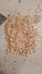 Sesame, Ground nutaize - Image 2