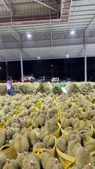Durian – product photo 9, product detail gallery