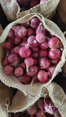 Fresh Onions – product photo 1, product detail gallery