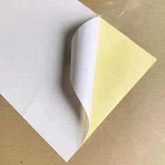 Semi Glossy Cast Coated Sticker Paper - Image 4