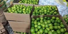 Fresh Lemon, Green Lime - Image 1