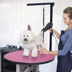 Factory Custom Pedal Activated Circular Hydraulic Pet Grooming Table Sold - Qufu Lekang Medical Technology Group Co., Ltd.