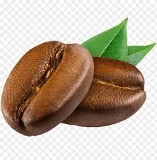 Arabica Coffee - Image 2