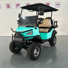 Cheap Custom Golf Cart Electric Golf Buggy Golf Equipment Seats 3-4 OEM Support Origin China Power 600-1700W Model NO. WT 2+2 - Image 6