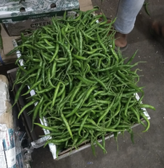 green Chilli Place of Origin INDIA Grade Export quality G4 Packaging AS PER BUYERS - Image 3