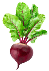 Organic Fresh Beet Roots Natural Red Beetroot Healthy Vegetable Bulk Wholesale Supplier - Image 4