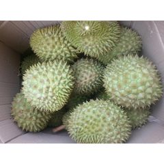 Wholesale Fresh Durian 100% High Quality Fresh Delicious Vietnam Durian and Feeeze Durian - Image 6