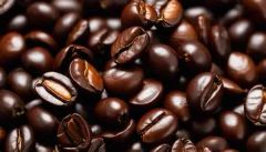 Vietnamese Robusta Coffee Beans - Image 1