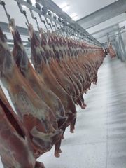 Frozen lamb – product photo 2, product detail gallery