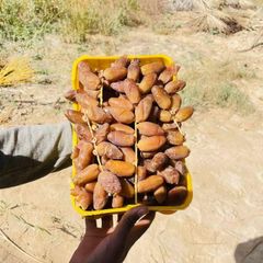 Premium Tunisian Deglet Nour (Kurma) Branched Dates (CAT 1) – Registered Brand | Secure Your Ramadan Stock Now! - Image 4