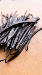 Vanilla Bean - Image 1