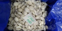 lobster, shrimp, Crabs, oysters, scallops, mackerel, octupos, squid - Image 2