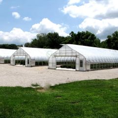 Plastic Single Span Temperature Control Grow Greenhouses Size Large Width 6-10m Span Single Layer Double Length 20-200m Location - Image 5