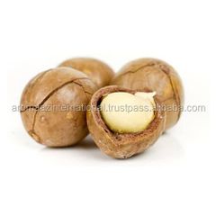 Fully ISO, WHO Certified Macadamia Nut Oil Pure Cold Pressed Macadamia nut Oil Supplier In Bulk Price - Image 3