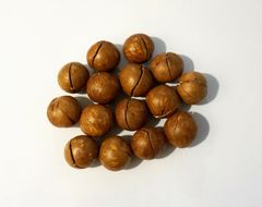 High quality Macadamia Nuts with Shell and Cashew From Vietnam For EU Market ( Linda/ WS+84 989 322 607) – product photo 4, product detail gallery