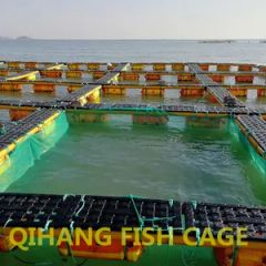 Carp Fish Farming, Catfish Farming Equipment for Sale - Image 4