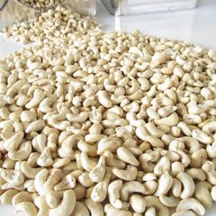 Cashew Nuts
