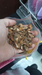 Cocoa Husk, Cacao Husk, CSKC, Cocoa Shell, Cacao Shell - Image 1