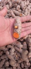 Vegetables – product photo 17, product detail gallery