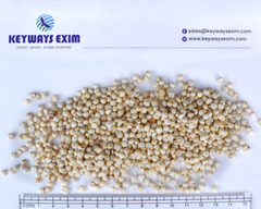 WHITE SORGHUM - Image 2