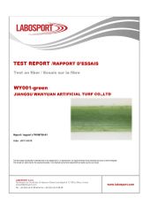 9 certificate of Jiangsu Wanyuan Artificial Turf Co., Ltd. – certificate photo, supplier certificates section