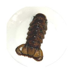 Factory price Canadian whole raw lobster UHP offered for wholesale sourcing programs - Image 2