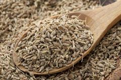 Aniseeds