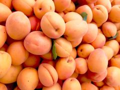 Fresh Apricot Grade A, A Style Fresh Color Orange Type Apricot Weight (kg) 50, 50 Model Number 5556423 Taste Natural - Image 4