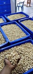 Soya meal - Image 1