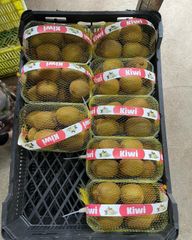 Kiwi - Image 1