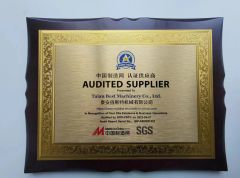 SGS AUDITED SUPPLIER certificate from Taian Best Machinery Co., Ltd.