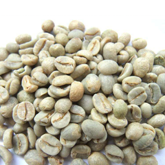 Premium coffee bean green product European Coffee Beans Green Control coffee beans - Vietnam roasted for importers companies - Image 3