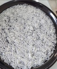 1121 Basmati Rice – product photo 1, product detail gallery