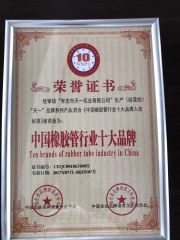The Top 10 brand Rubber Hose in China certificate from Zaozhuang Tianyi Industry Co., Ltd.