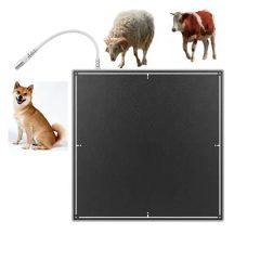 Hospital Human Vet Wireless X-ray Digital Flat Panel Detector 1800 Medical Equipments - Image 3