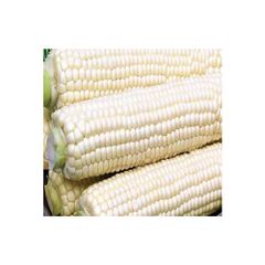 Agro Products Brazil frozenchickenexports.com - Image 3