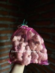 Fresh Elephant Ginger Premium Quality / Indonesian Spices Wholesale Export Supplier - Image 1