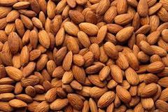 Wholesale Good Quality Almond Nuts Raw Nutrition Organic Almond Nuts for Bake Roasted Almond Nut Price Nationwide Shipping - Image 1