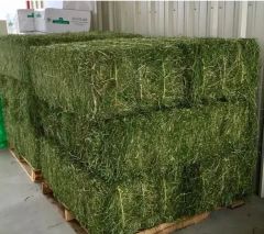 Suppliers High Quality Alfafa Hay for Animal Feeding Stuff Alfalfa / Timothy / Alfalfa Hay for Sale - Image 2