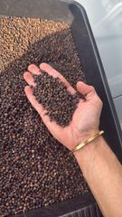 Black pepper 540Gl - Image 1