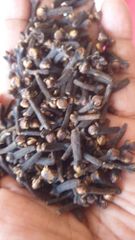 Cloves - Image 1