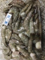 Bulk supply Frozen Vannamei Shrimps HLSO available with fast loading - Image 5