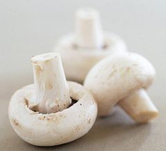 white mushroom Shape Rod Color White Size 5-6 cm Style FROZEN Certification ISO Brand Name Vdelta Type Oyster Mushroom Shelf Life 12 - Image 1