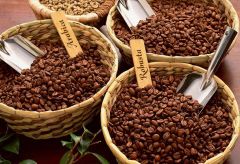 Taste Robusta Coffee Beans High Quality Fresh Roast With Strong Flavor And Smooth Finish Buy Fast Delivery Premium Quality Wholesale Naturally Perfect For Coffee Shops - Image 3