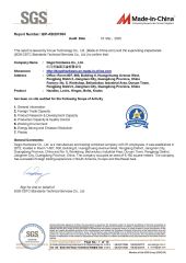 SGS certificate from Degol Hardware Co., Ltd.
