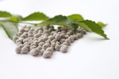 Palm Bunch Ash Powder / Granules - Image 1
