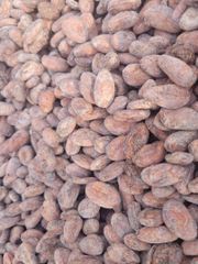 Cocoa Beans – product photo 1, product detail gallery
