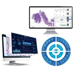 Pathology Ai System Medical Equipment Medical Instrument Group All Origin China Certification CE Trademark Gmedisys Application2 - Image 1